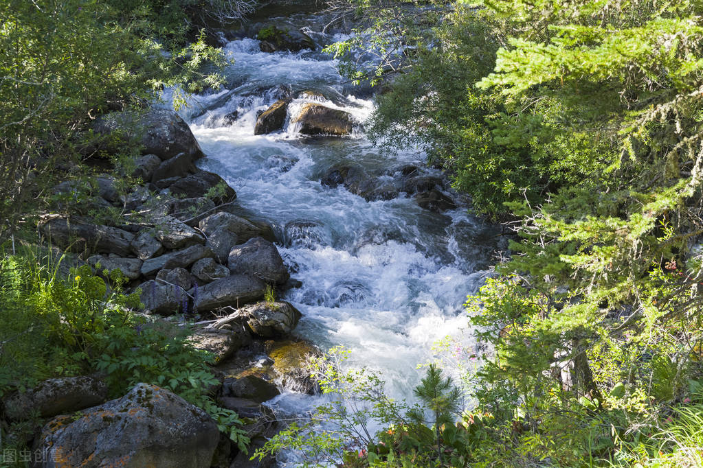 带有清风的唯美诗句，温柔拂面，治愈你烦躁的情绪
