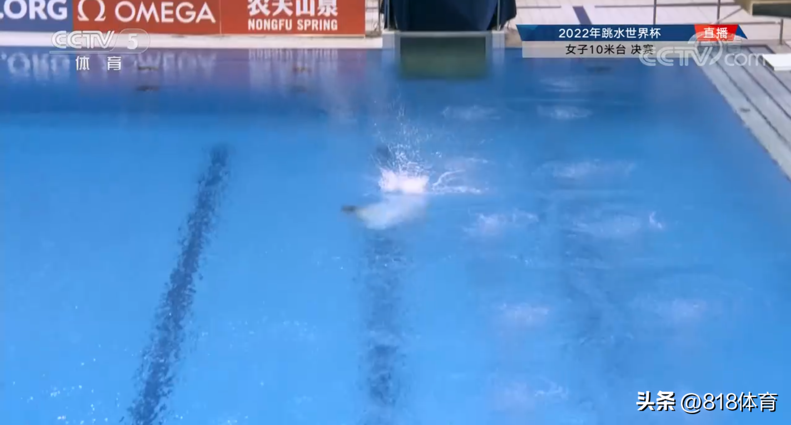 世界杯最强双冠王（全红婵输了!陈芋汐领先19分世界杯夺双冠王,各拿5个10分神仙打架）