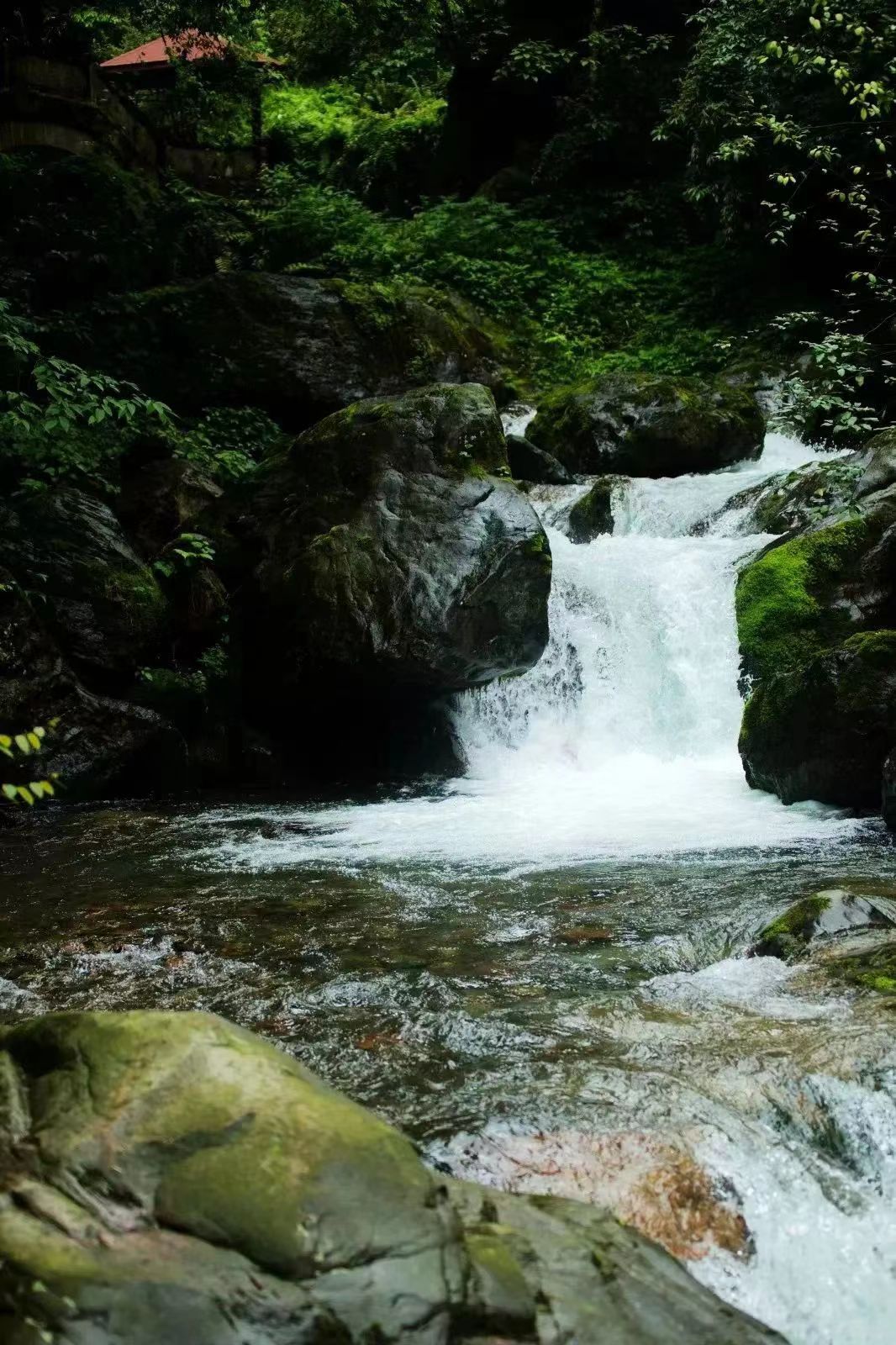 「西岭大飞水」飞泉流瀑，清幽秘境，过一个25℃的夏天