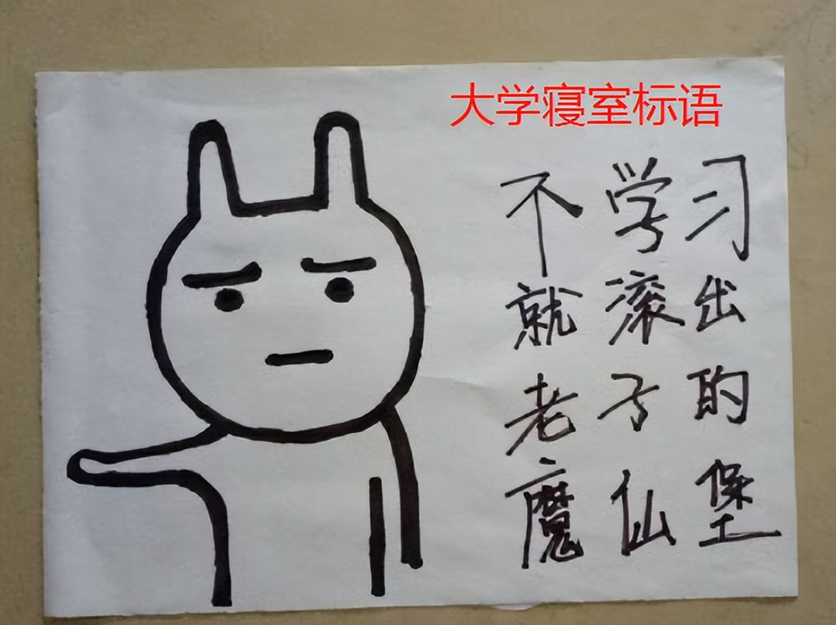 大学老师查寝就像开盲盒，违禁品层出不穷，男生寝室还有“水床”