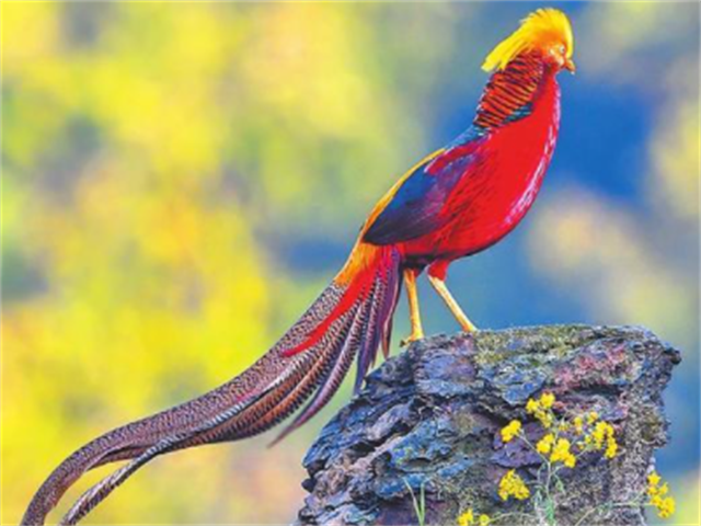 这个山西老汉给出了答案