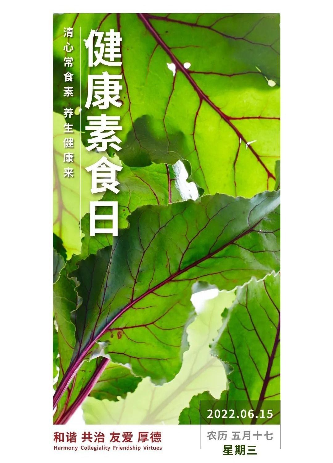 和治友德 | 健康素食日：合理荤素配比 科学健康养生