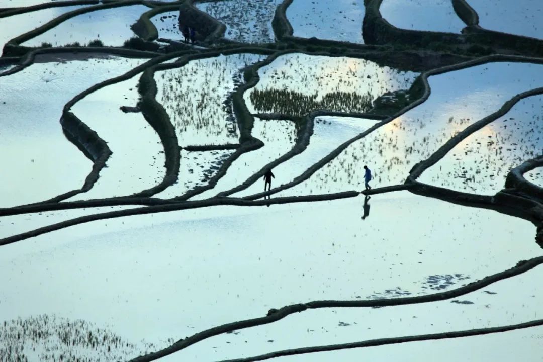 ʲôطľ㣨ɽʲôطľ㣩-46ͼƬ-Ѷ
