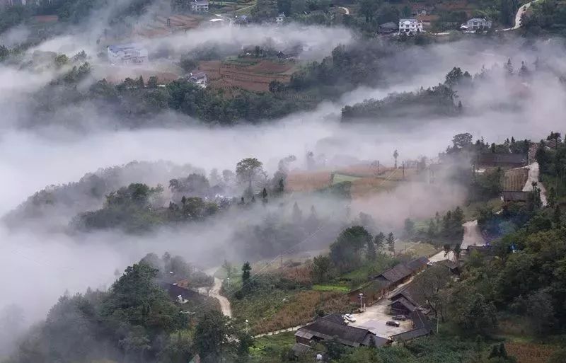 快乐不打烊！宜昌这些地方景美人少还免费！