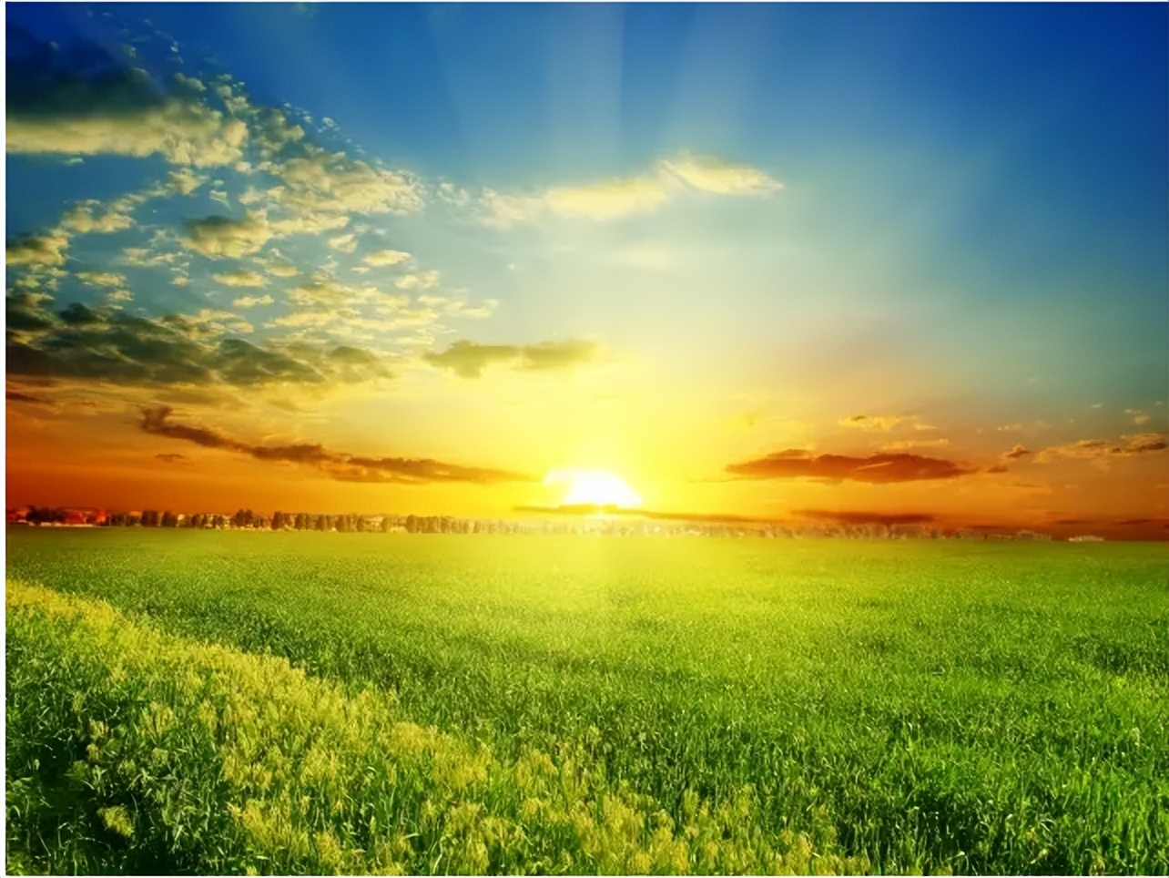 你在焦虑什么？