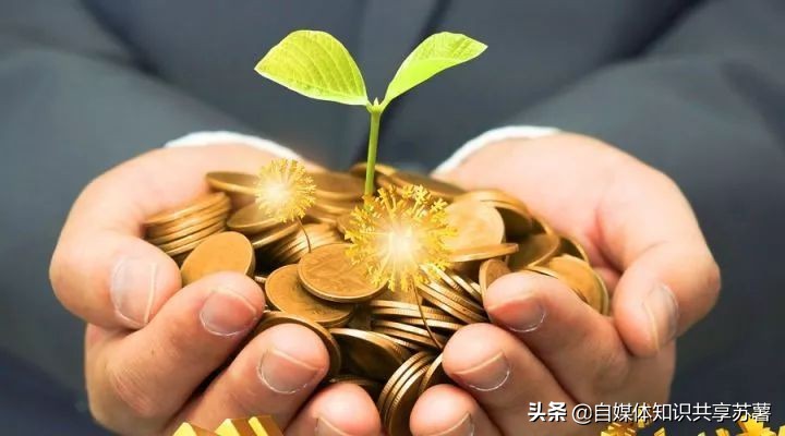 新手做自媒体如何快速增加收益？附详细教程