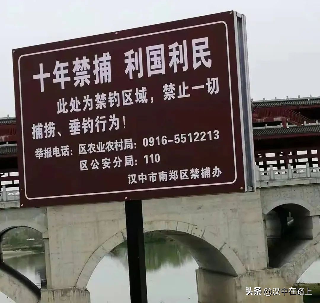 提醒！漢中中心城區(qū)漢江段，這些區(qū)段為禁釣區(qū)→