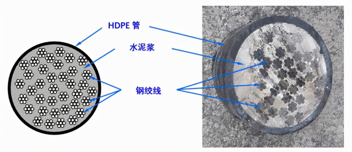 深圳灣大橋鋼纜斷裂大調(diào)查——絕命塵埃