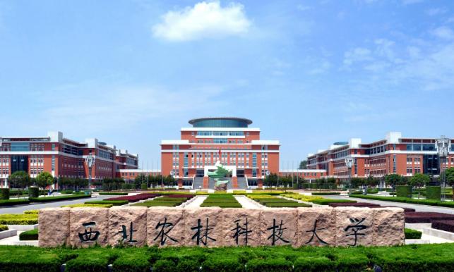 如果重新评选985高校，北邮、央财、上财能上榜吗？现实很骨感