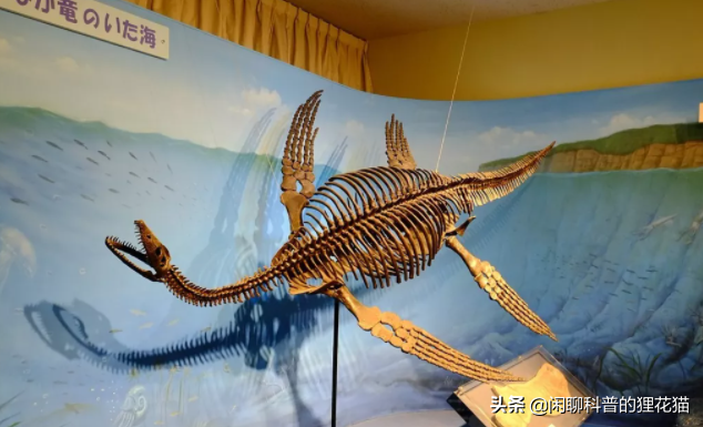 盘点史前海洋十大巨兽，从寒武纪走过始新世，每个时代顶级捕食者
