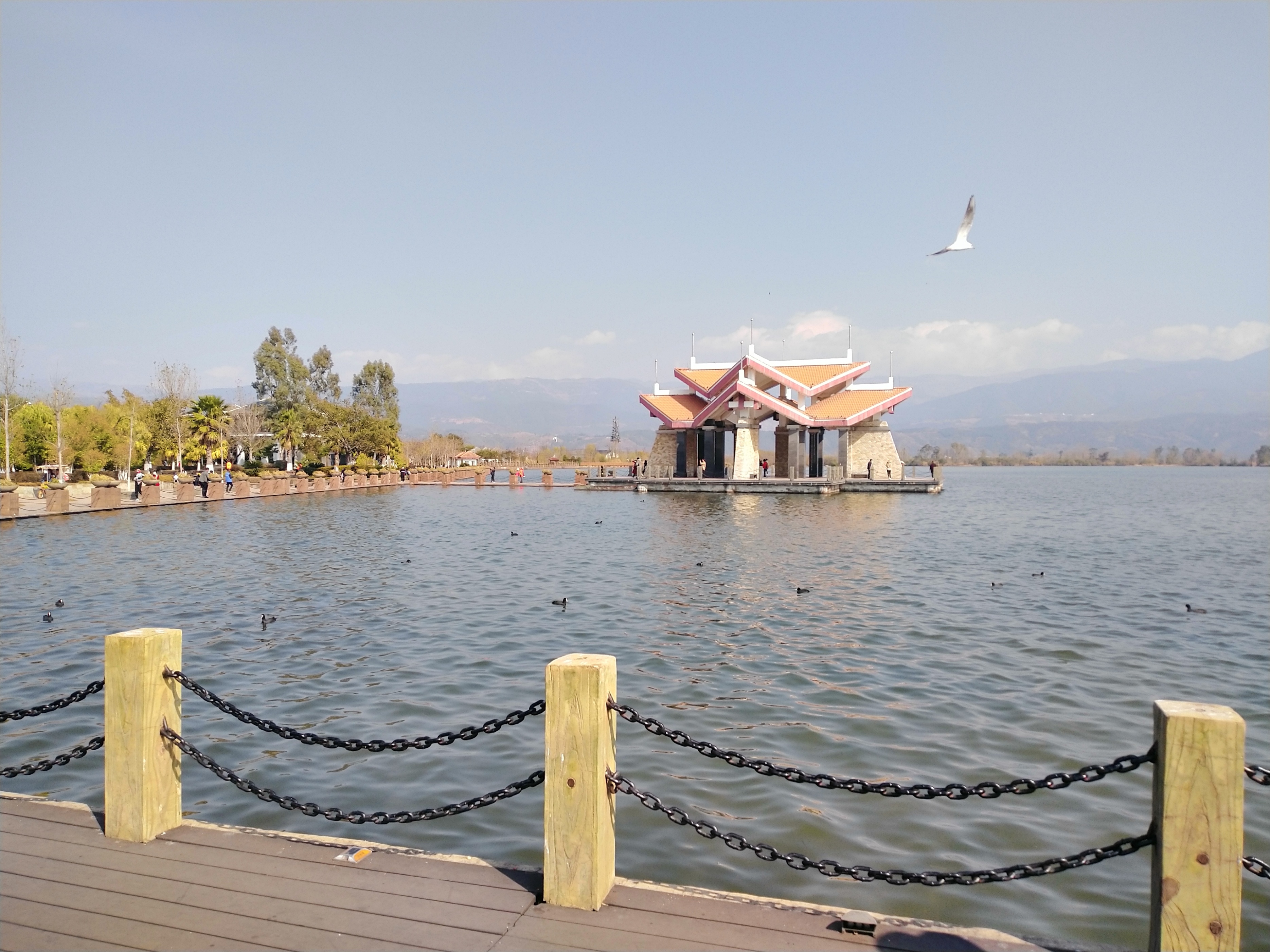 科学发现的性质和数量判断