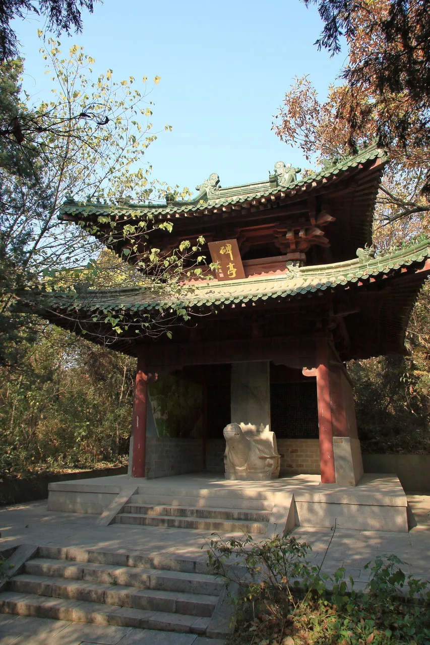 没有长江，不成中国