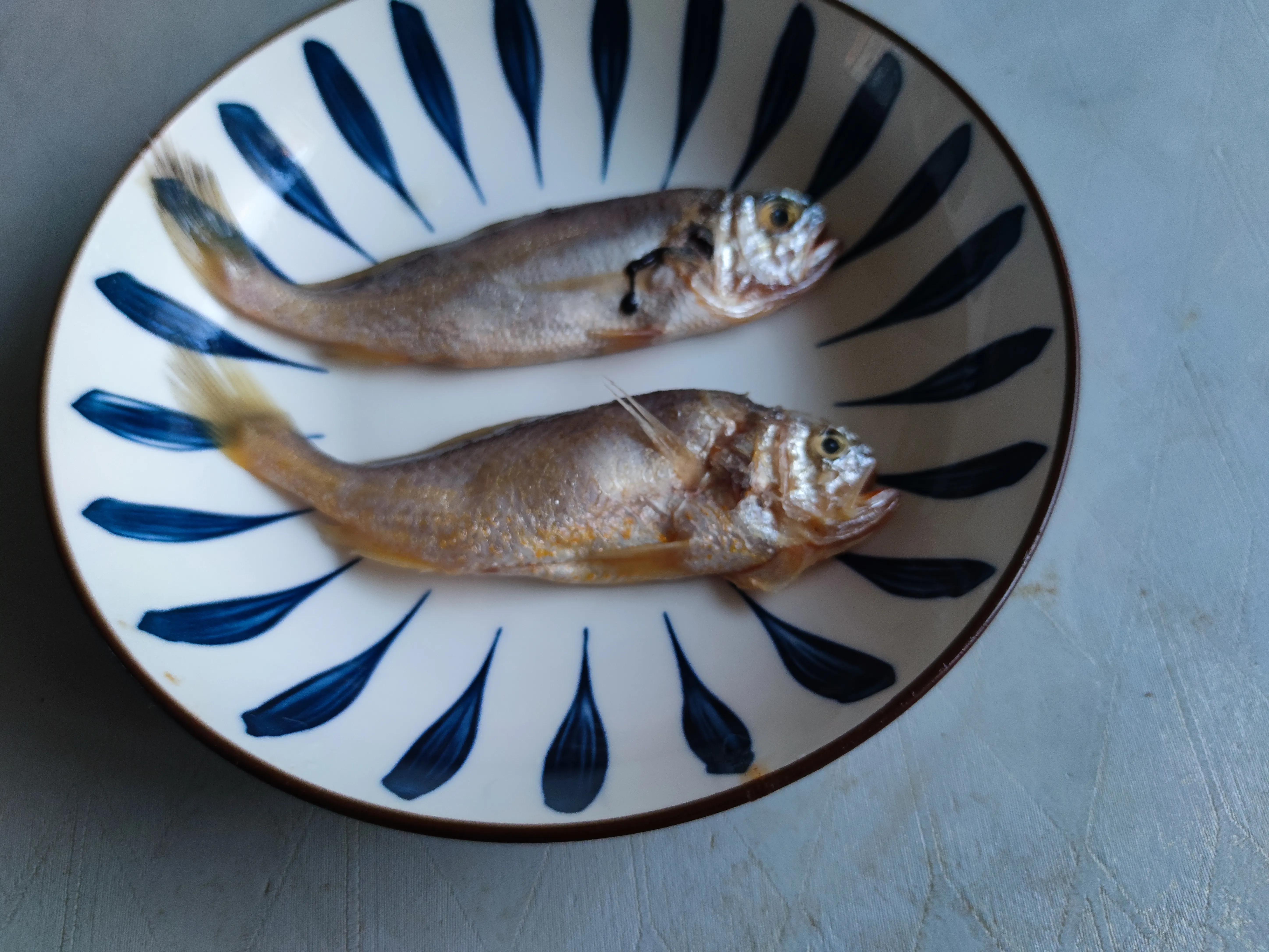 小黄花鱼和大黄花鱼是一种鱼吗（大小黄鱼的3个区别）