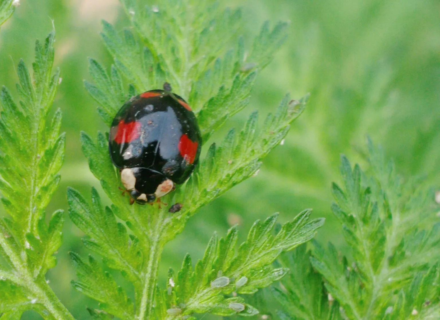 没想到我也有这样的时候，真是愚蠢