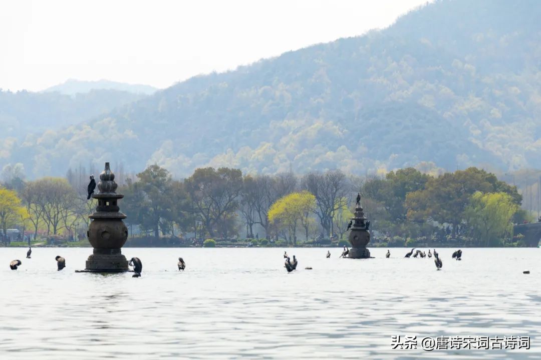 白居易《钱塘湖春行》赏析