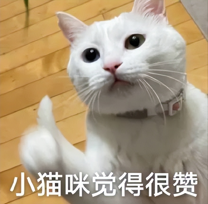 敖廠長世界杯解說（恰爛飯掉粉40萬！這個百萬大V又翻車了）