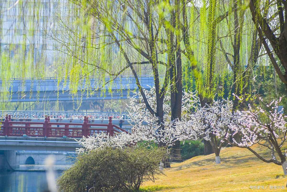 当唐诗宋词遇上春日美景,一起感受春天里的诗意美景