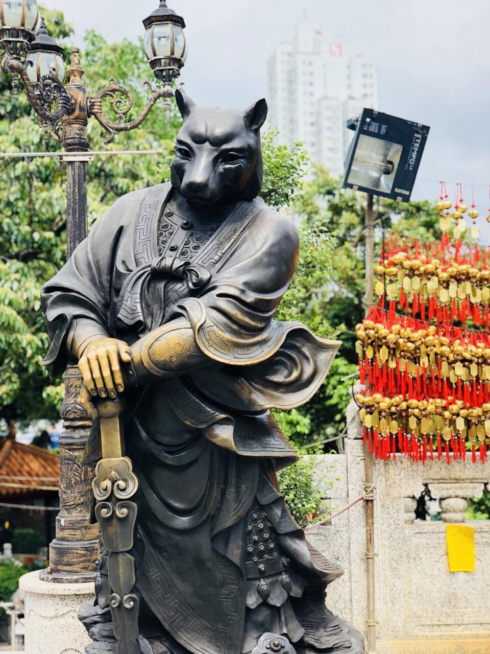 世界上最记仇的六种动物，天生好斗爱打架，能记你很多年