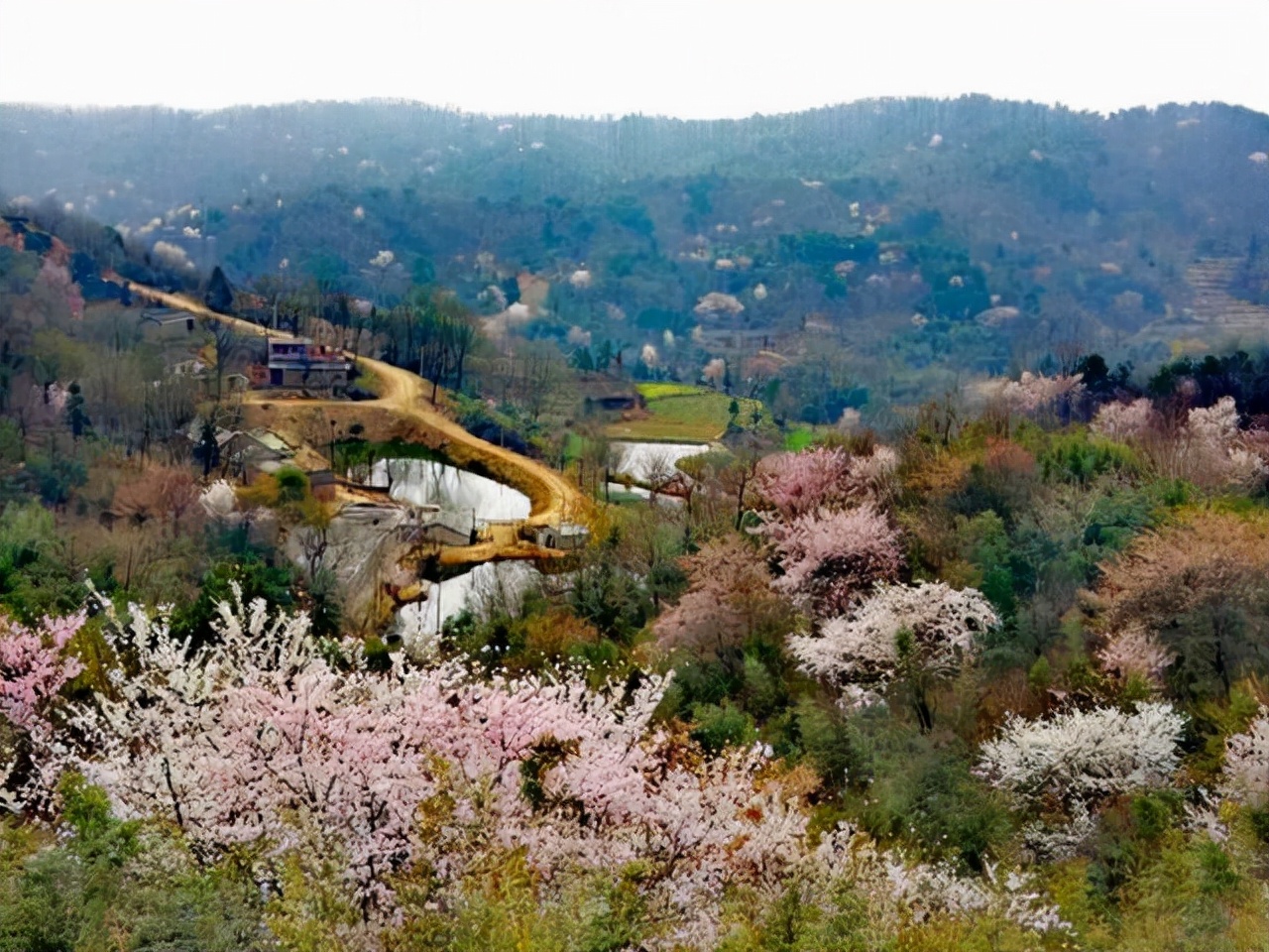 河南这4个景美口碑好的旅游地，春色渐浓，你还要再错过吗？