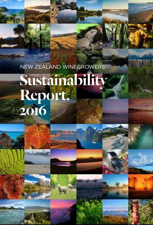 均价最高的新西兰葡萄酒行业发布《2022年可持续发展报告》
