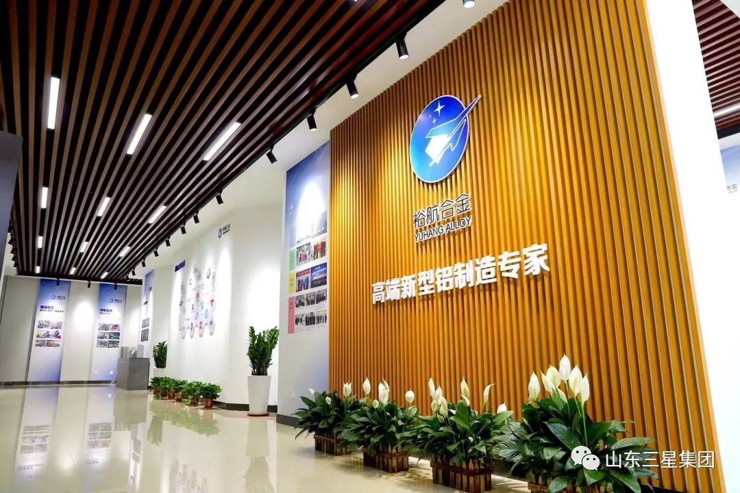 山东三星集团八个项目入选2022年山东省第一批技术创新项目计划