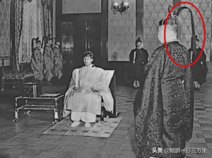 国产大河剧新鲜爆款出炉了，请看全员倭里倭气的《我叫刘金凤》