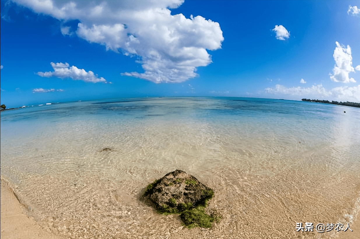 新能源汽车+华为+宁德时代+锂电池+盐湖提锂。五大选题你看哪个？