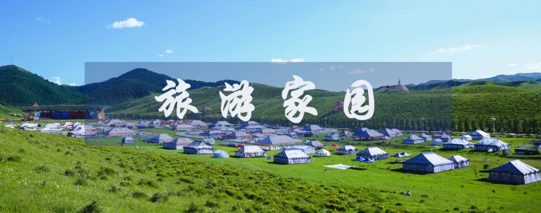 请回答,甘南2025!