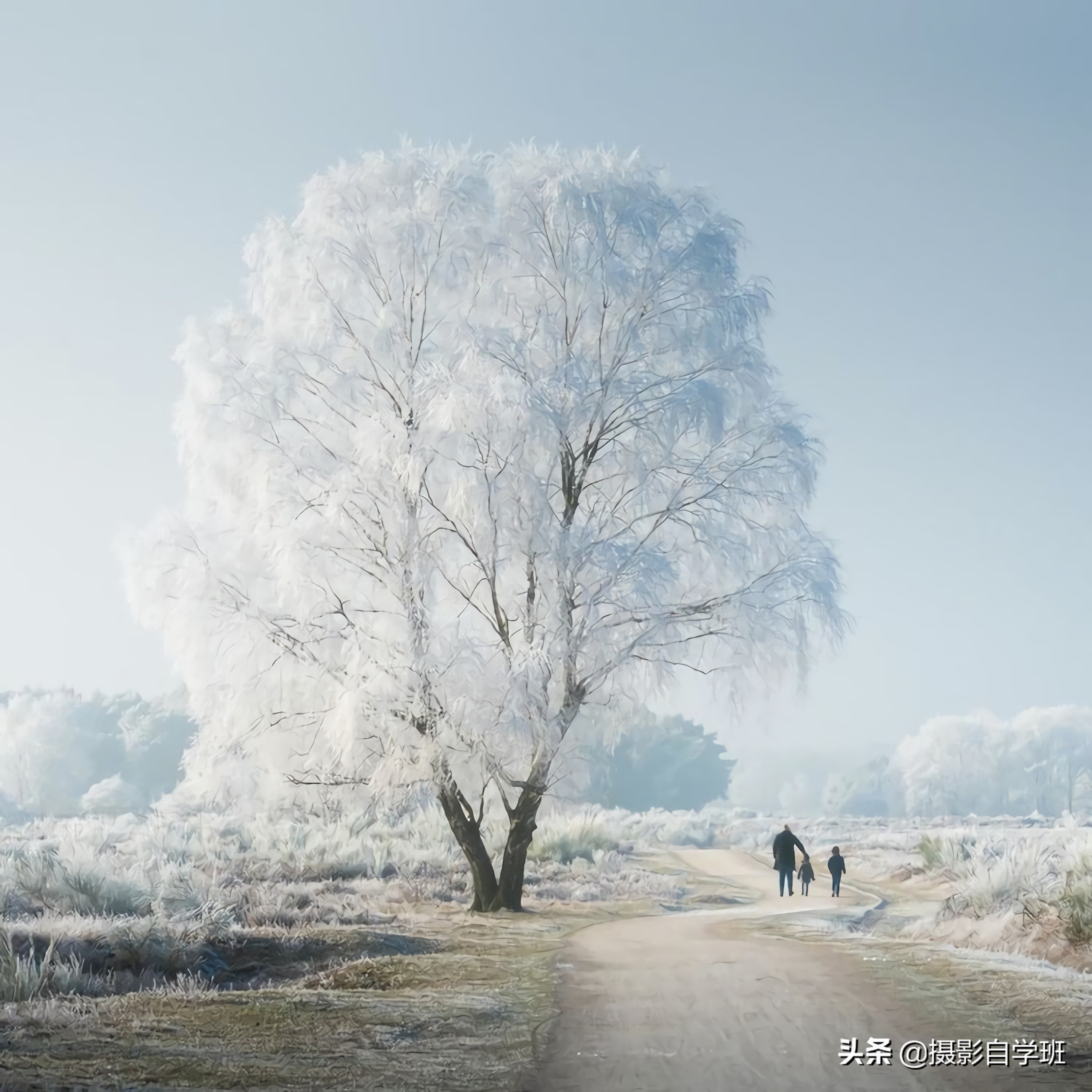 雪景拍照姿势大全图片(冬天拍照片相当美) - 赤虎壹号