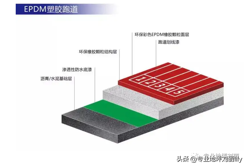 塑胶跑道分几种怎么区别(（专业地坪刘丽）塑胶跑道的几种类别)