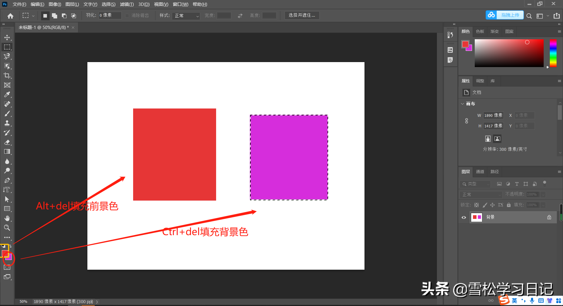 PS入门基础篇：选区的认识和高级操作及必用快捷键（初学者笔记）