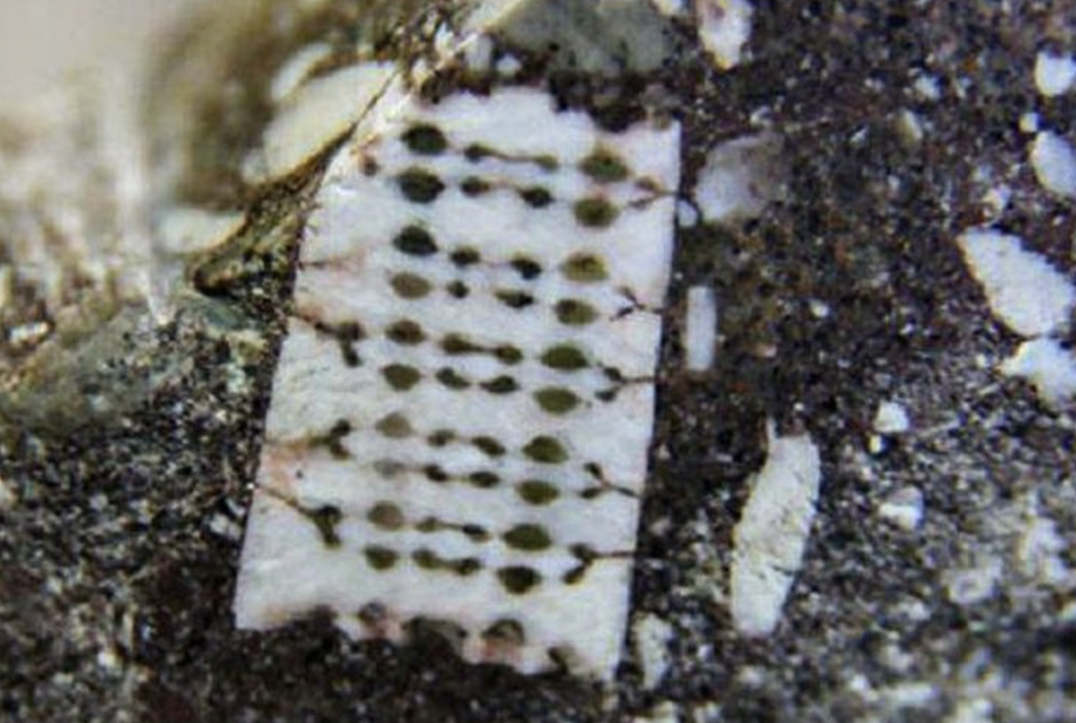 ������2.5����ǰ�ġ�оƬ����ʯ�������ѵ������׸�����������