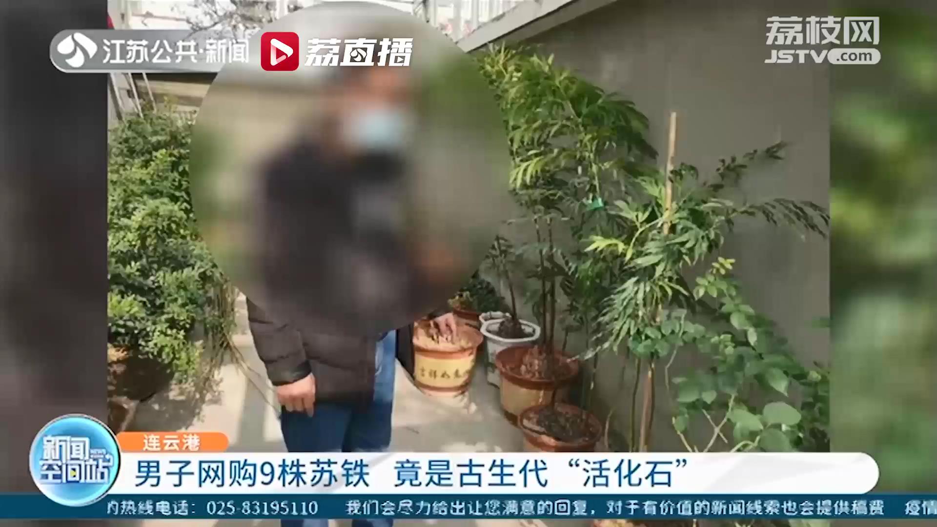 危害国家重点保护植物！网购9株被称为&ldquo;活化石&rdquo;的苏铁 连云港一男子被取保候审