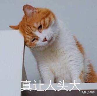 如何与「学业、工作、生活没有一处优秀的失败人生」和解？