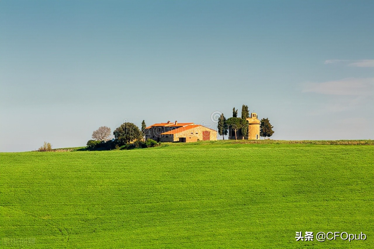 以股份结算的股票支付