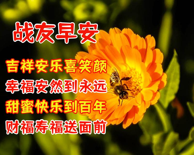 表达战友情深的八个字（送给老战友的温馨祝福语）