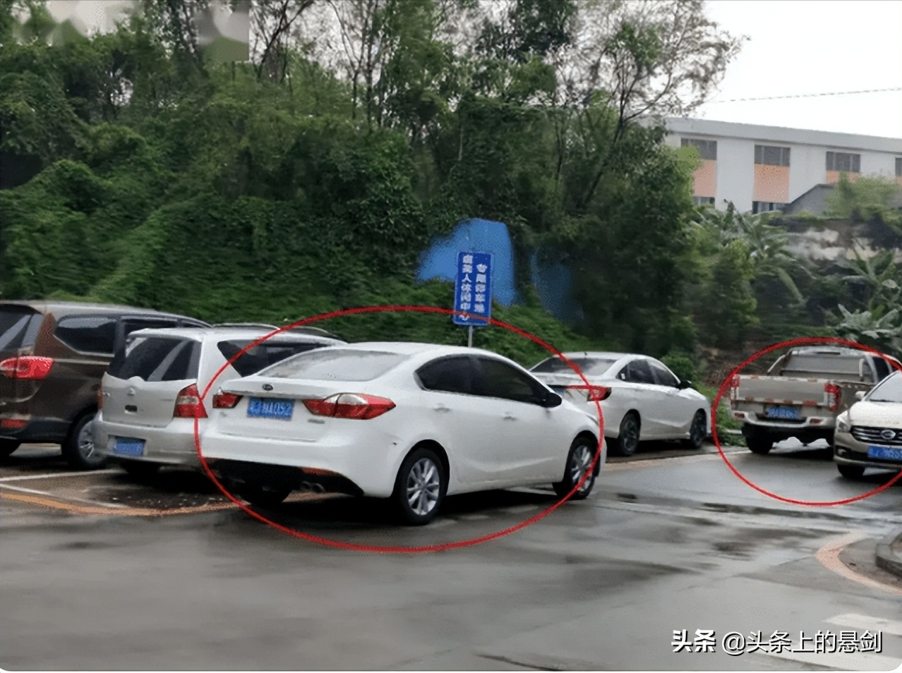 有奖随手拍违章郑州、深圳、济南、上海等，这些城市都有开通