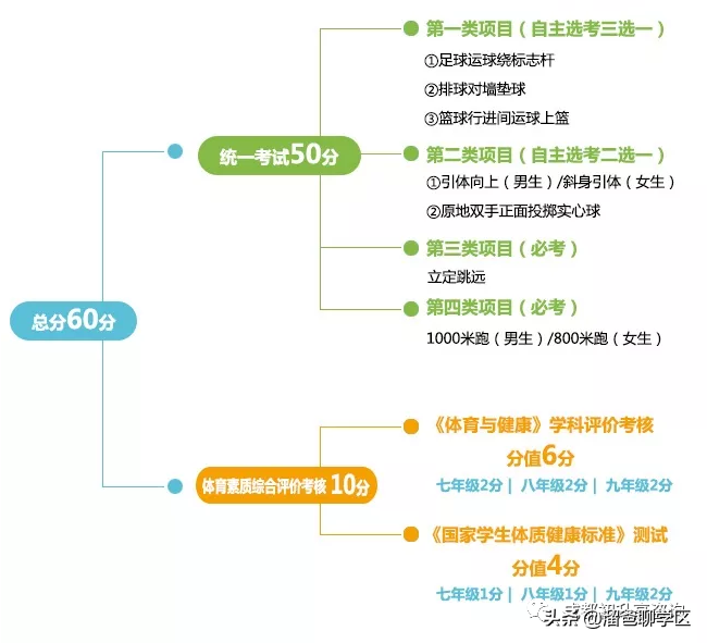 重磅！艺术纳入中考！体育分值提升！中考改革导向要看清