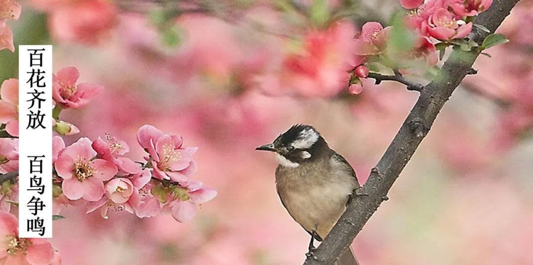 怎么请律师（如何请到合适的刑事律师）