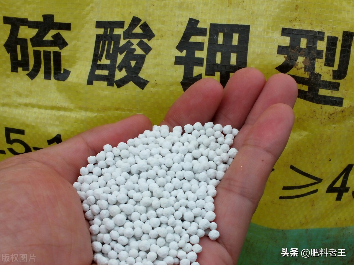 今日贵州赤天化出厂价「贵州赤天化肥多少钱一吨」