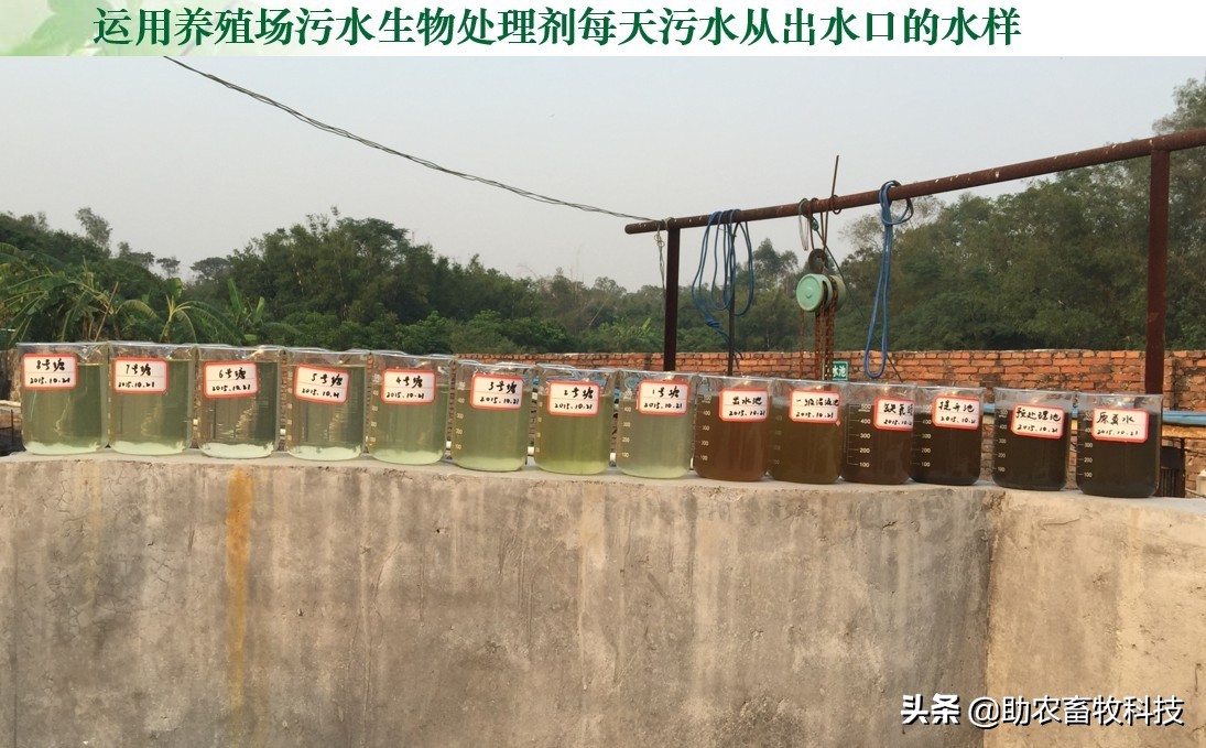 运用微生物（益生菌）除臭剂进行废水处理好处多
