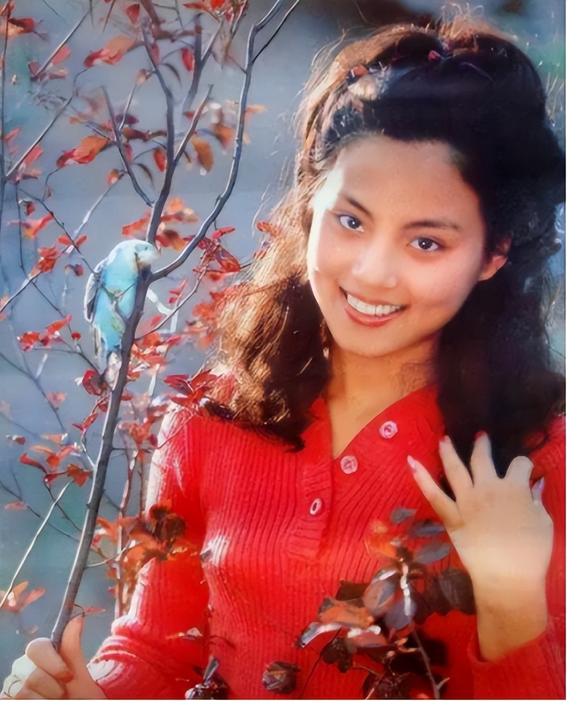 知名演员乐韵:17岁一夜成名,28岁悲情离世,葬礼父母拒不参加