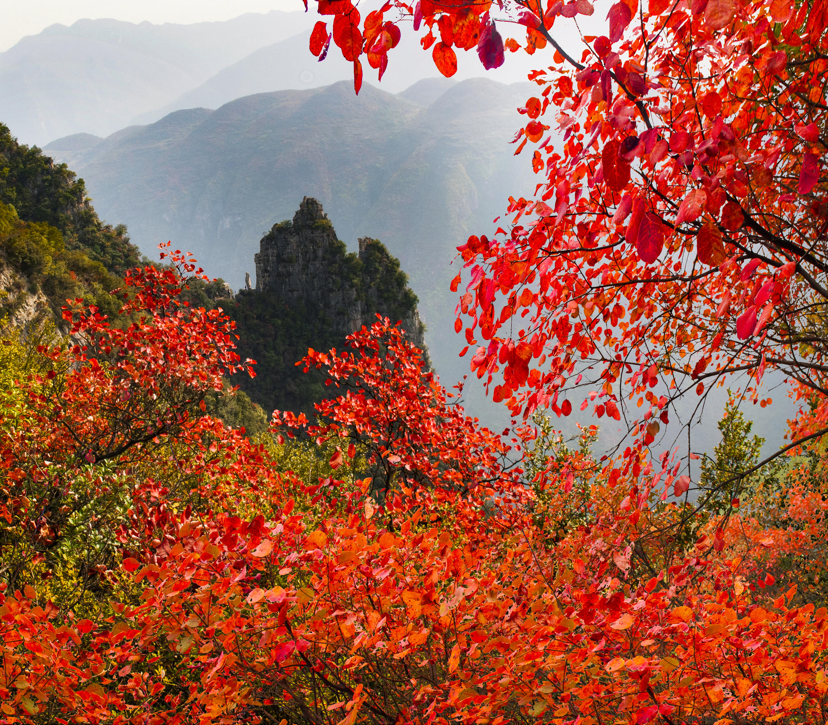 重庆万州旅游景点(重庆巫山怎么玩？小三峡、神女峰、下庄，这十大景点全都不容错过)