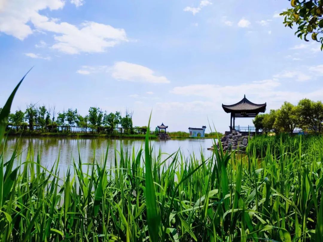 端午小長(zhǎng)假,，來洽川濕地體驗(yàn)?zāi)愕膼芤庵茫ǜ蕉宋绻?jié)優(yōu)惠活動(dòng)）