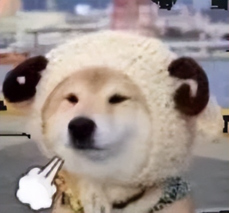 在横店，影视人“渡劫”