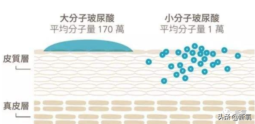 这就是新旧女团风格转变的标准吗？