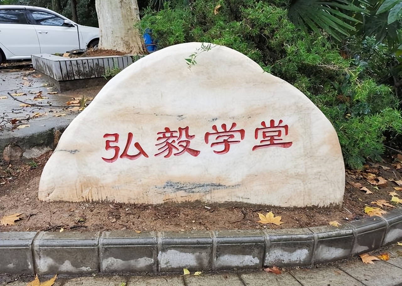 谁是湖北一哥？武大&华科