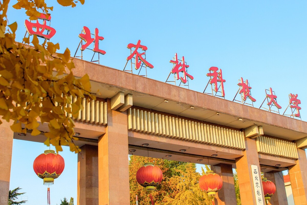 西北农林科技大学风景园林艺术学院(西北农林科技大学教务处)