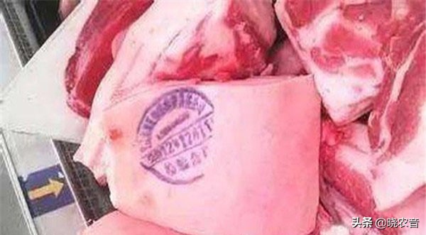2022五一前后猪肉最新价格多少钱一斤？