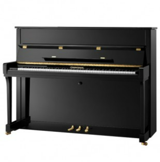 钢琴需要多少钱(3万左右买首德卡尔约翰CJ121还是贝希斯坦齐默曼s2?有啥区别)